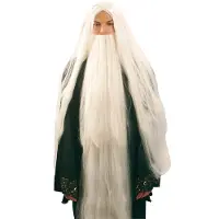 Boland pruik Wizard met baard heren wit