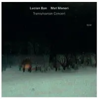 OUTHERE Mat Maneri & Lucian Ban - Transylvanian Concert (CD)