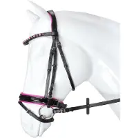 Horka Flamingo hoofdstel Kleur: roze, Maat paard: pony