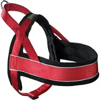 Hunter Harnas Noors Racing Nylon Rood / Zwart (Hond, Algemeen), Kraag + Leiband