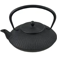 Cosy & Trendy Stria theepot met zeef 1,15 liter gietijzer zwart