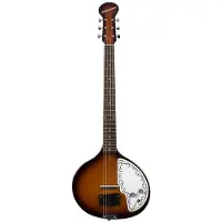 Danelectro Baby Sitar