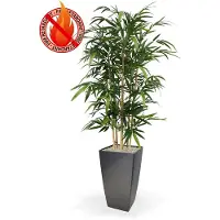 Maxifleur Bamboe 150 cm FR