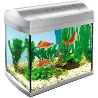 Tetra Aqua-Art Discovery Line aquarium 20L