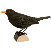 Wildlife Garden Decobirds Met De Hand Gesneden Vogel Merel - Houten beeldjes Massief Hout Black - WG411