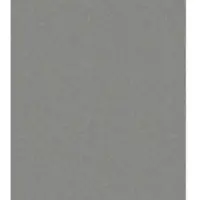 SPITS WALLCOVERINGS VLIESBEHANG UNI ZWART 54742