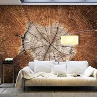 Karo-art Fotobehang - De ziel van een boom