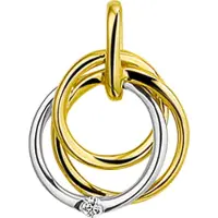 Trendjuwelier huiscollectie Hanger Bicolor Goud Diamant 0.02ct H SI