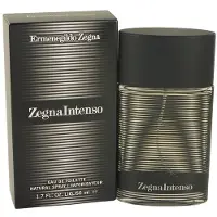 Ermenegildo Zegna Intenso Eau de Toilette, 50 ml (voor heren)