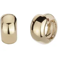 Traveller Oorbellen - Dames - Creolen - Goudkleurig - 14 mm -145286