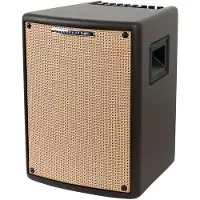 Ibanez T80II Combo voor elektroakoestische instrumenten