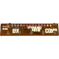 Tech 21 SansAmp Acoustic Fly-Rig