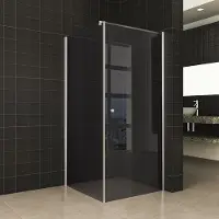 Wiesbaden Douchecabine met Deur 8mm en Vaste wand 10mm NANO Rookglas (verschillende opties)