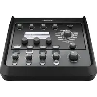 Bose T4S