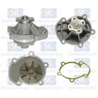 Saleri SIL PA469 Waterpomp