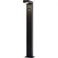 Lucide Texas Staand 60 cm Zwart 1 Lichtpunt met Sensor