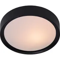Lucide Lex Plafondlamp Black | Ø 25 cm