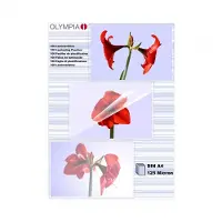 Olympia Lamineerfolies A4 125 micron (2 x 125)