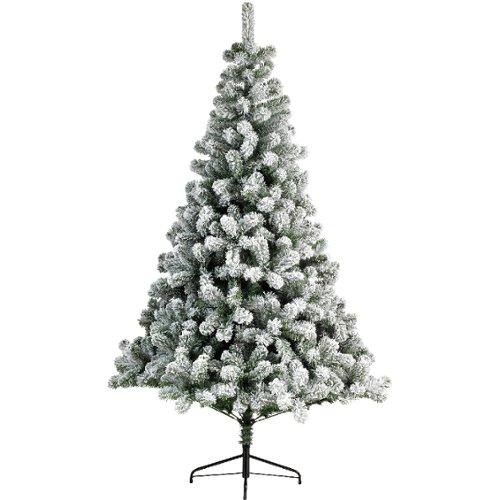 De mooiste kerstbomen | VERGELIJK.NL