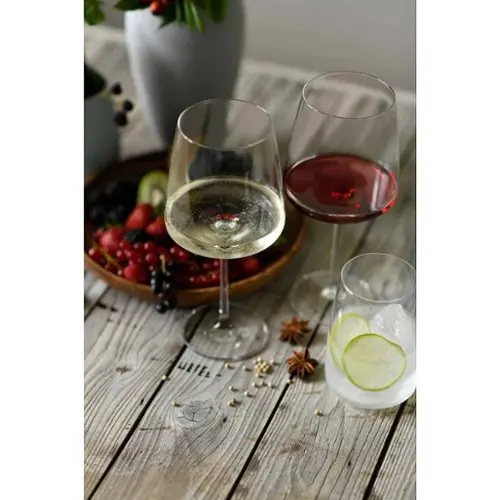 Schott Zwiesel Finesse water glasses set of 6